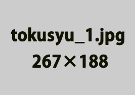 �s�J�s�J�̐V�z���W