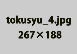 >�������N�`���B�w�ߓ��W